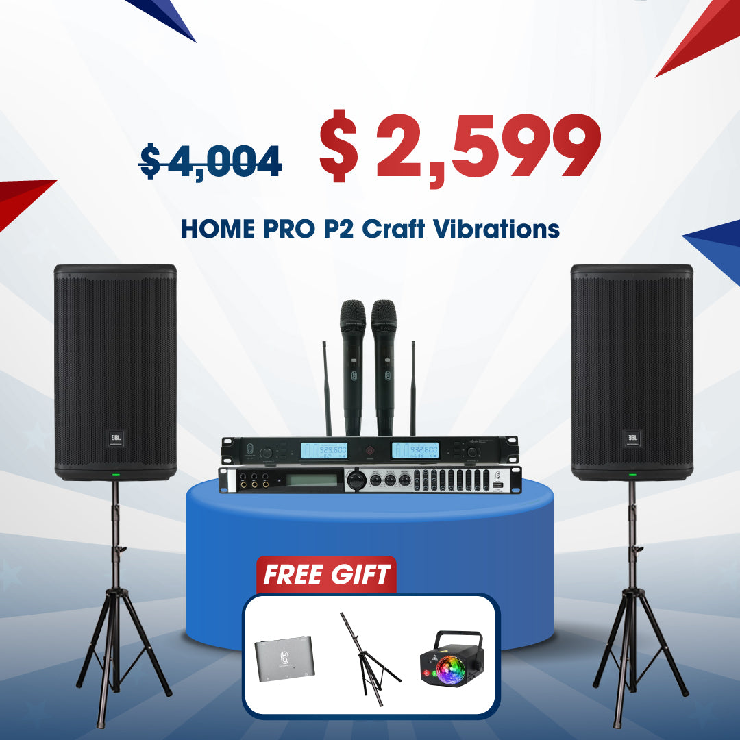 KARAOKE HOME PRO P2 &emsp;&ensp; Craft Vibrations